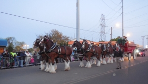 Clydes Dales (800x458)